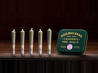 Cookies Cannabis Dispensary Dispensary Special